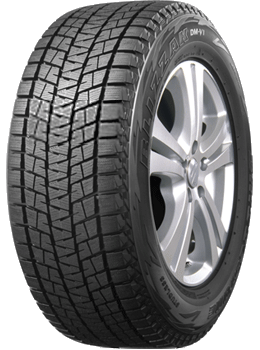 Bridgestone Blizzak DM-V1