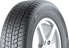 Gislaved Euro Frost 6