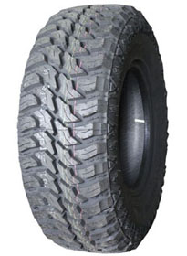 WildTiger T01