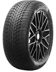 Nexen Winguard Ice 3